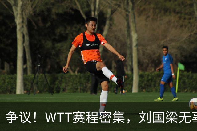 争议！WTT赛程密集，刘国梁无辜躺枪，樊振东退出的含金量在上升