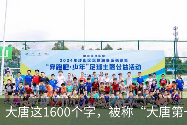 大唐这1600个字，被称“大唐第一美”，草圣张旭就是学的它，现禁止对外展览！