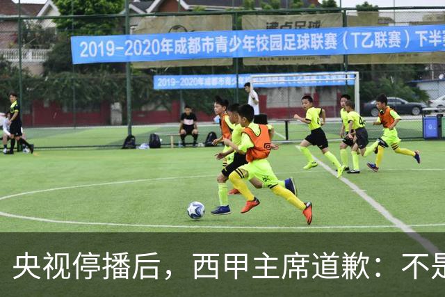 央视停播后，西甲主席道歉：不是良心发现，是账单先疼