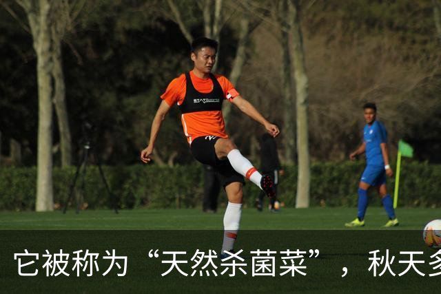 它被称为“天然杀菌菜”，秋天多吃，一预防感冒 ，二健脾开胃促消化