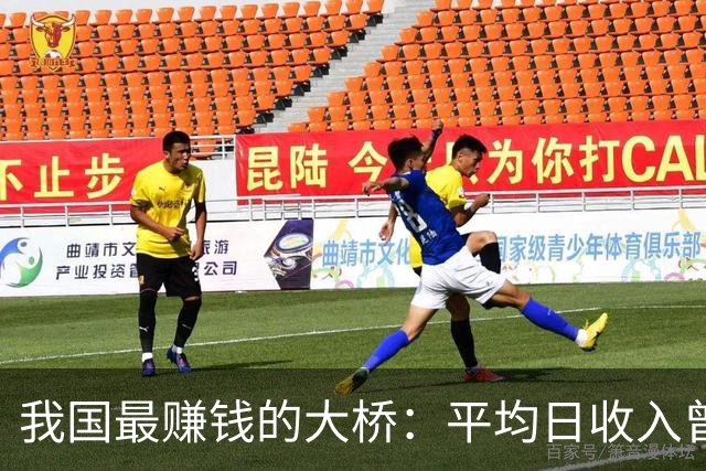 我国最赚钱的大桥：平均日收入曾高达上千万，到底为啥如此吸金？