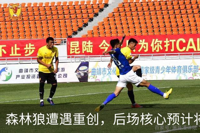 森林狼遭遇重创，后场核心预计将缺席两个月的时间？