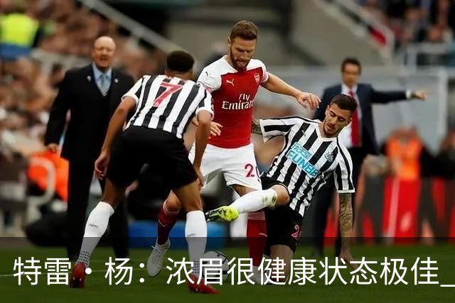 特雷·杨：浓眉很健康状态极佳 期待他打出历史75大级别赛季！