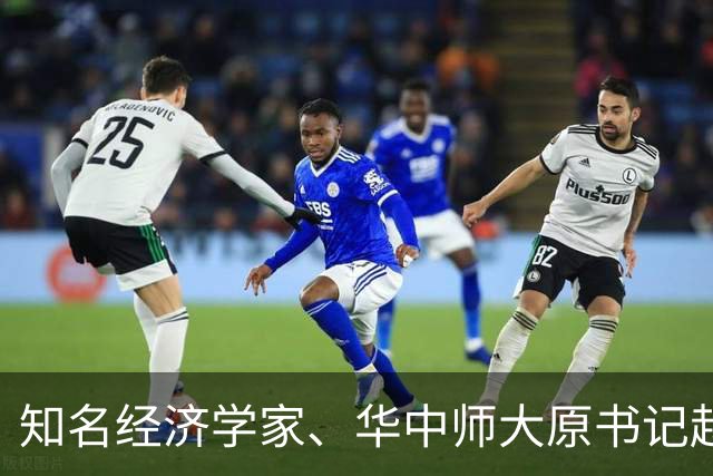 知名经济学家、华中师大原书记赵凌云被查，仕途横跨政学两界
