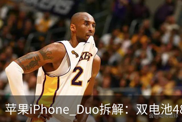 苹果iPhone Duo拆解：双电池4883mAh，无实体SIM卡槽