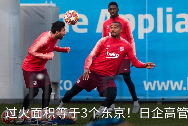 过火面积等于3个东京！日企高管引燃边境草原大火，日媒集体沉默
