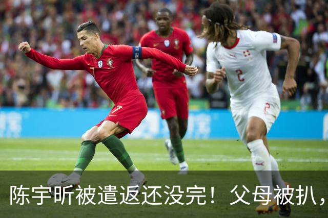 陈宇昕被遣返还没完！父母被扒，扬州公司洗白?背后的人憋不住了