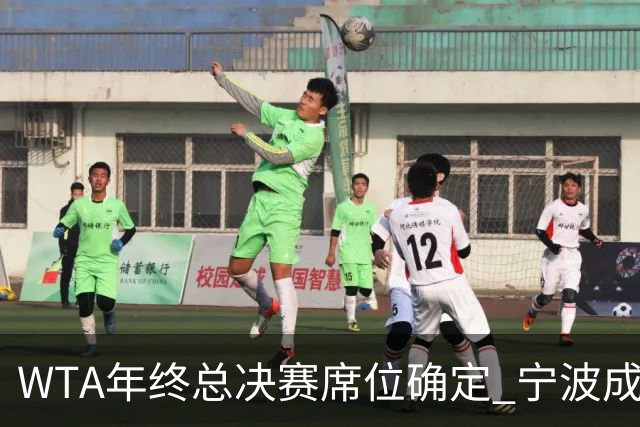 WTA年终总决赛席位确定 宁波成“总决赛售票处”